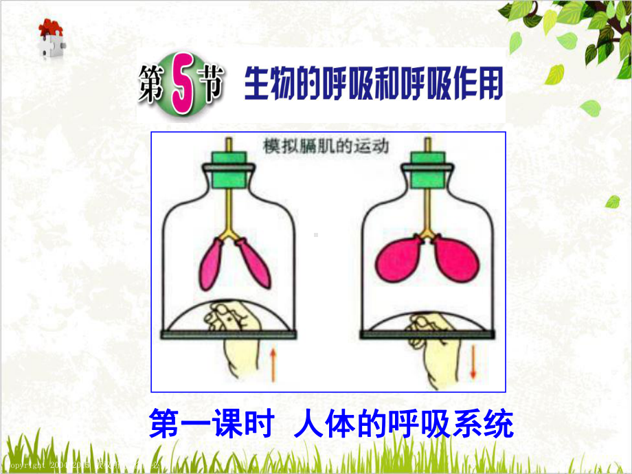 浙教版八级科学下册生物的呼吸和呼吸作用教学课件.pptx_第1页