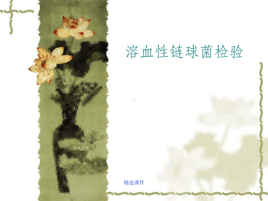 溶血性链球菌讲义课件(同名86).ppt_第1页