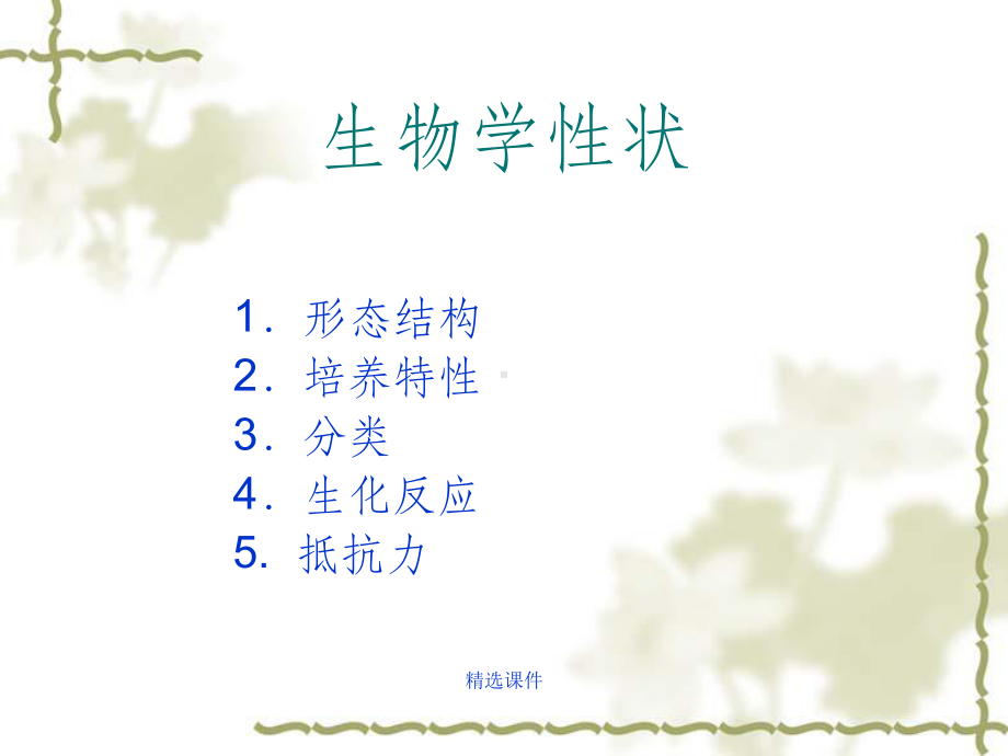 溶血性链球菌讲义课件(同名86).ppt_第3页