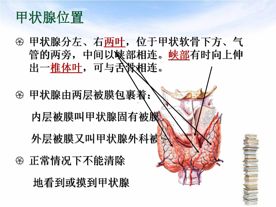 甲状腺癌的围手术期护理课件.ppt_第3页