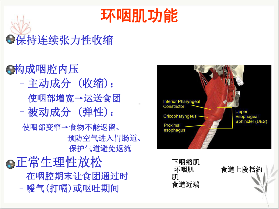 球囊扩张术在吞咽障碍治疗中的疗效分析课件.pptx_第2页