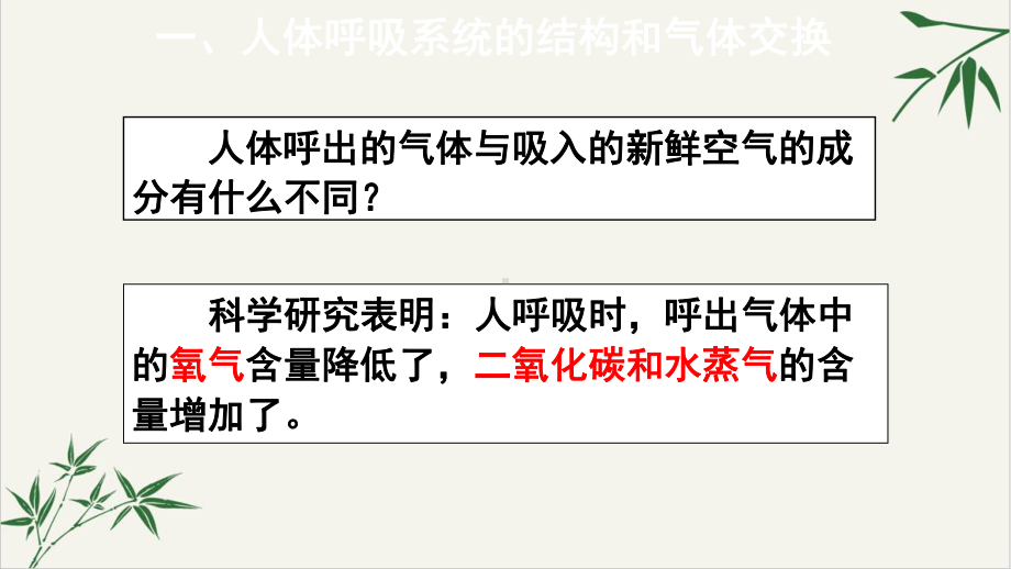 浙教版八级科学下生物的呼吸和呼吸作用教学课件整理.pptx_第3页