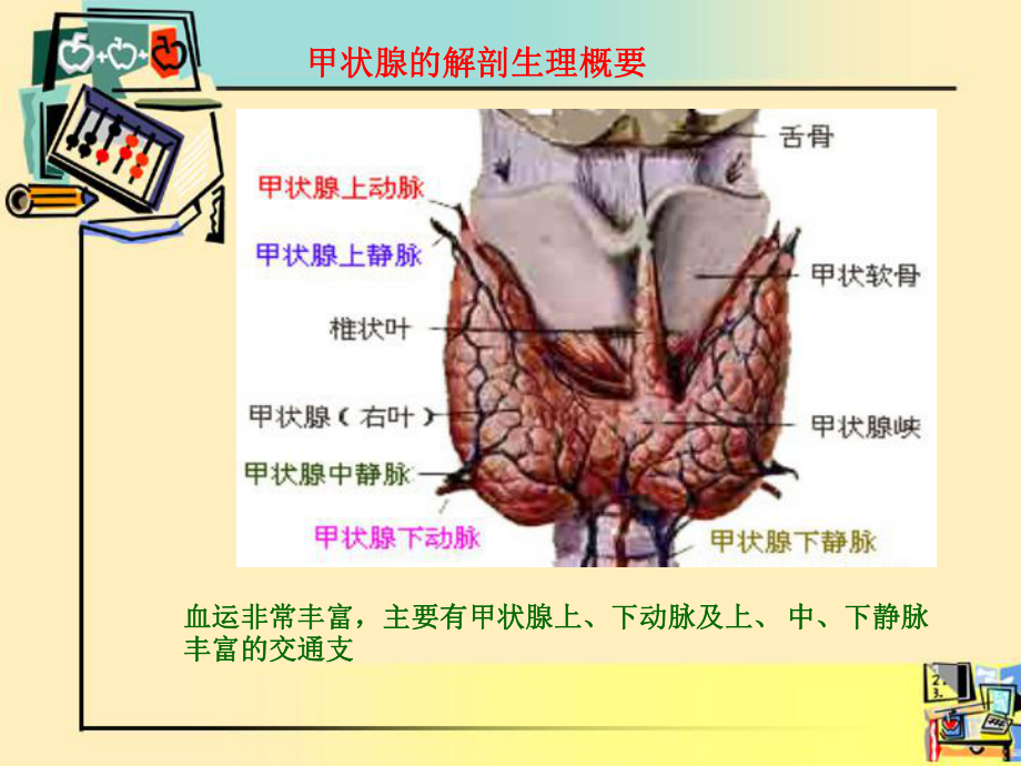 甲状腺围手术期的护理课件整理.ppt_第2页