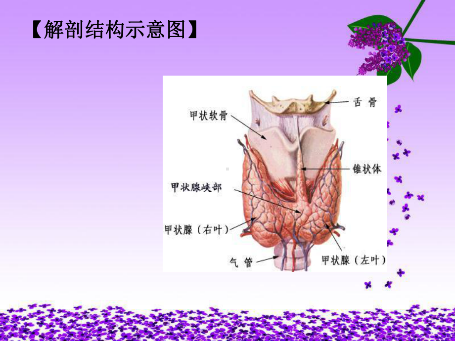 甲状腺危象病人的护理培训课件.pptx_第1页