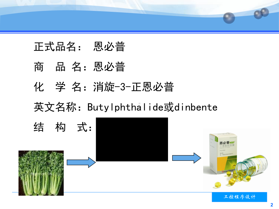 恩必普临床治疗新进展课件.ppt_第2页