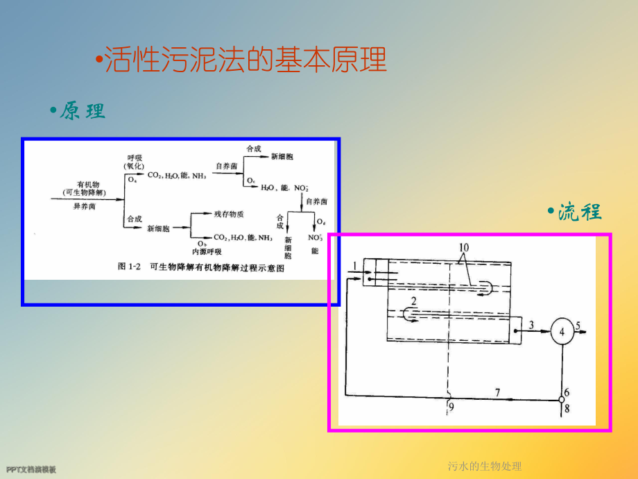 污水的生物处理课件.ppt_第3页