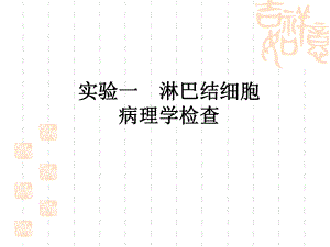 淋巴结细胞病理检查课件.ppt