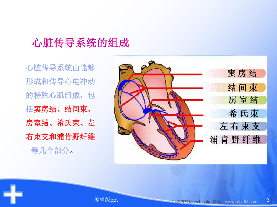 常见心律失常与护理课件.ppt_第3页