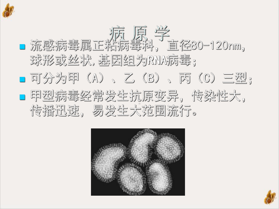 流行性感冒诊治现状课件.pptx_第2页