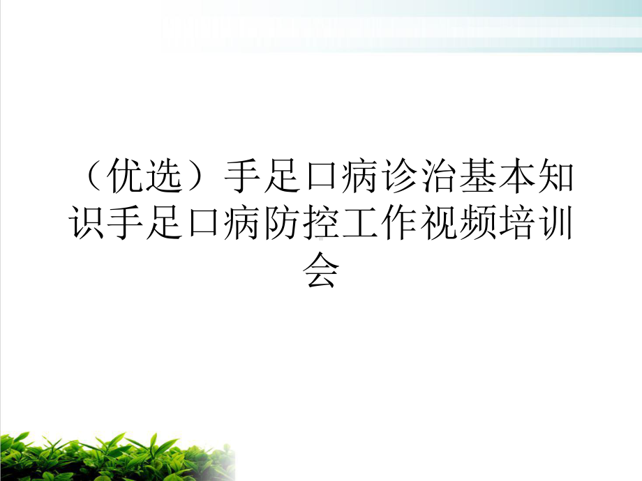 手足口病诊治基本知识手足口病防控工作视频会课件.ppt_第2页