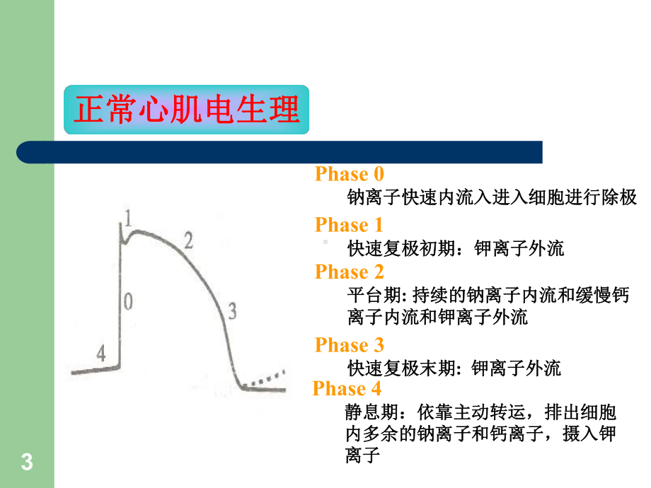 抗心律失常药课件-3.ppt_第3页