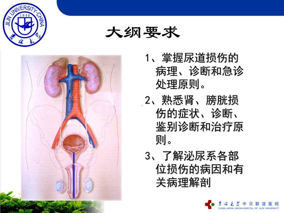 泌尿系损伤课件(同名14).ppt_第2页