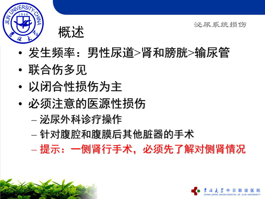 泌尿系损伤课件(同名14).ppt_第3页