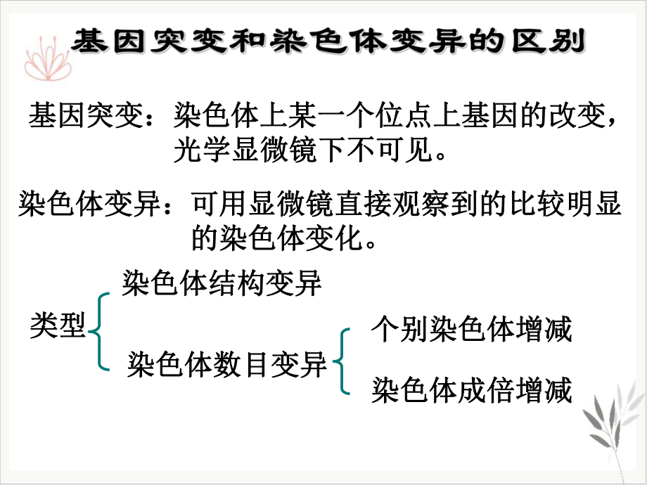 染色体变异新课标人教课件.ppt_第3页