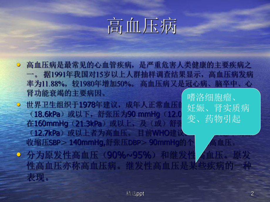 抗高血压药课件整理.ppt_第2页