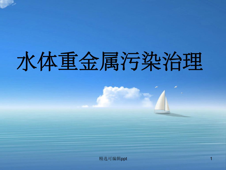 水体重金属污染治理课件.ppt_第1页