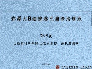 弥漫大B细胞淋巴瘤规范化治疗课件.ppt