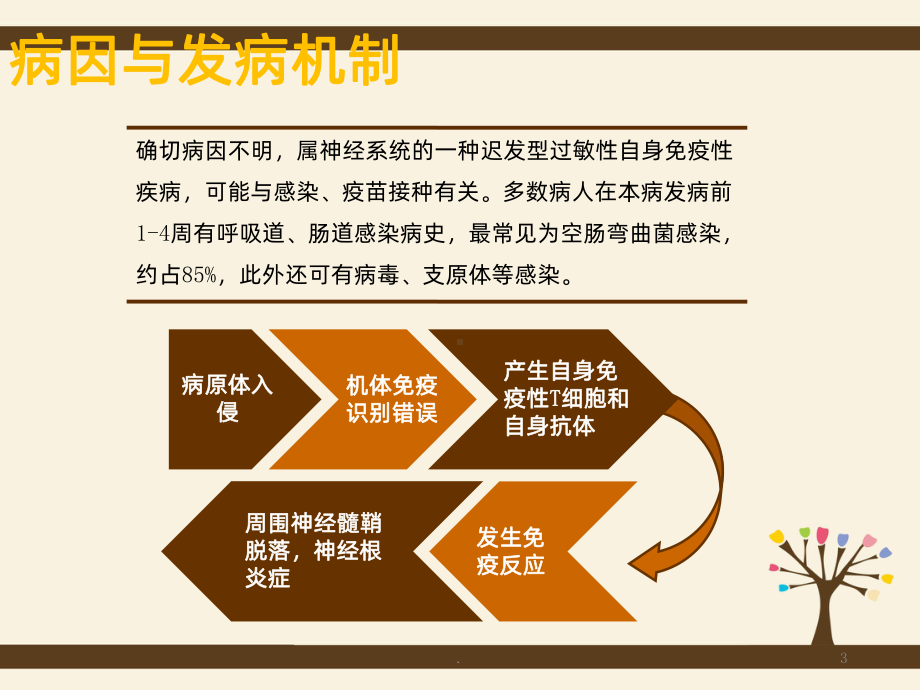 格林巴利综合症的护理查房课件整理.ppt_第3页