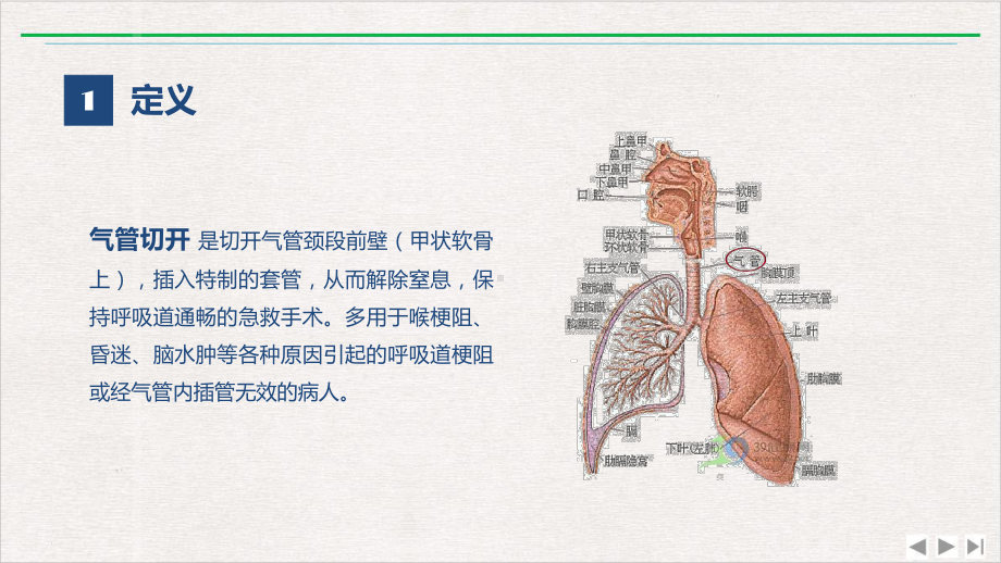 气管切开的护理业务学习修课件完整版.pptx_第3页