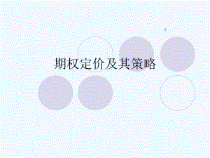 期权的定价及策略课件.ppt