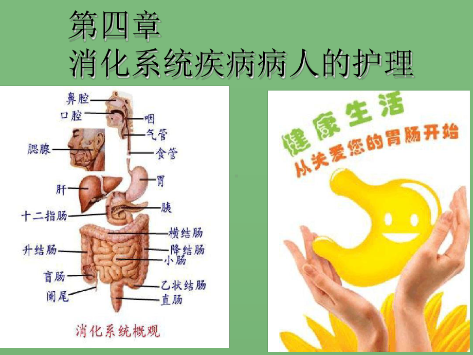 消化系统概述(同名351)课件.ppt_第1页