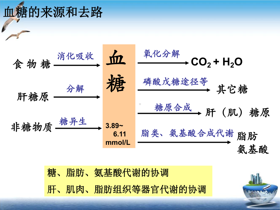 生化糖尿病课件.pptx_第2页