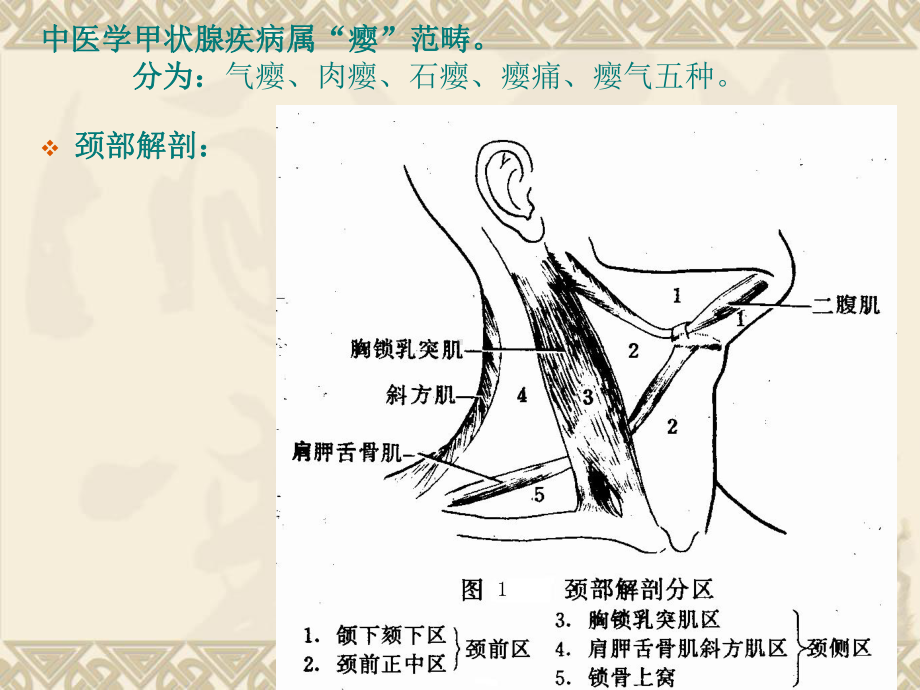 最新甲状腺疾病讲稿课件.ppt_第2页