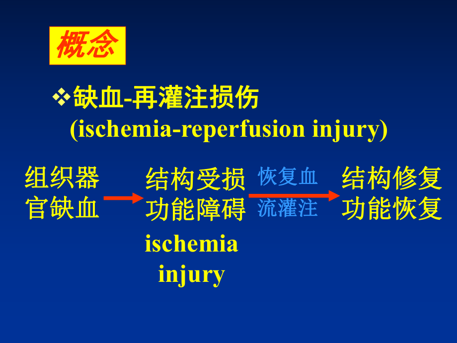 最新病理生理学缺血再灌注损伤必看课件.ppt_第2页