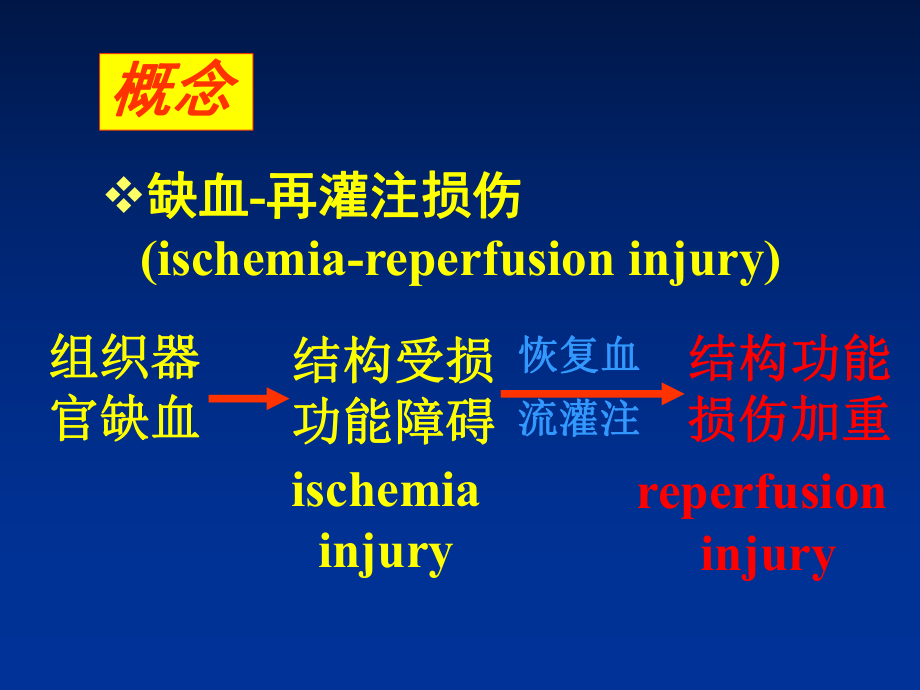 最新病理生理学缺血再灌注损伤必看课件.ppt_第3页