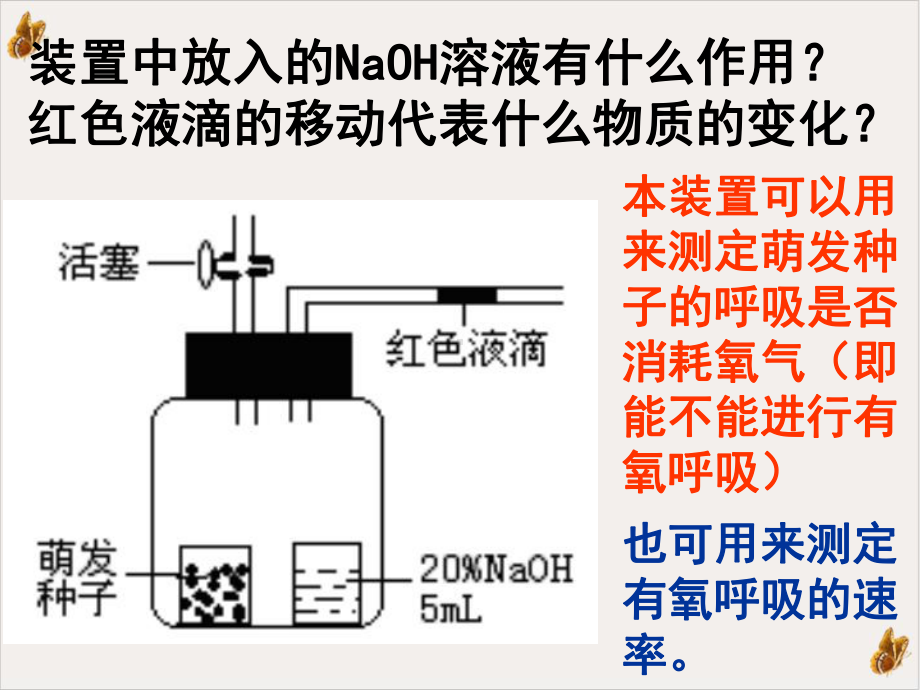 测量呼吸作用和光合作用的瓶子课件.pptx_第1页