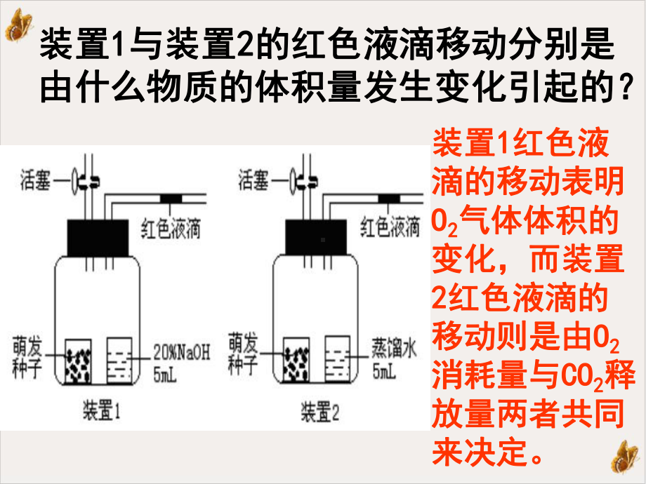 测量呼吸作用和光合作用的瓶子课件.pptx_第2页