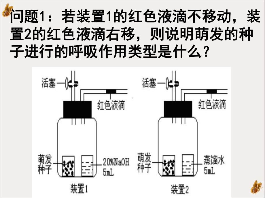 测量呼吸作用和光合作用的瓶子课件.pptx_第3页