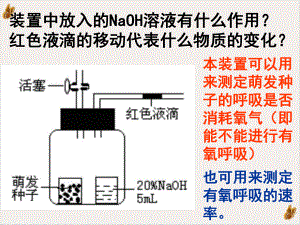 测量呼吸作用和光合作用的瓶子课件.pptx