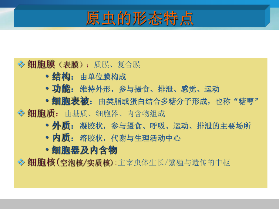 寄生虫医学原虫课件.ppt_第3页