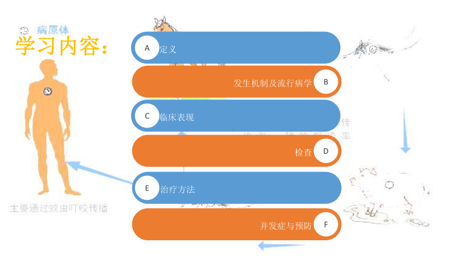 最新流行性乙脑炎护理学习课件.ppt_第2页