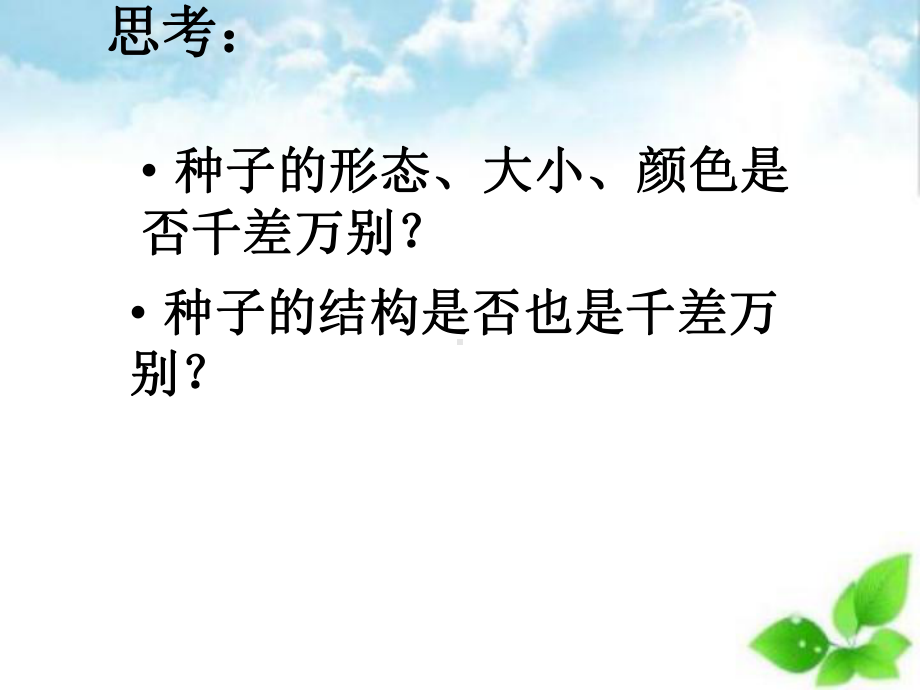 植物的生长发育课件-3.ppt_第3页