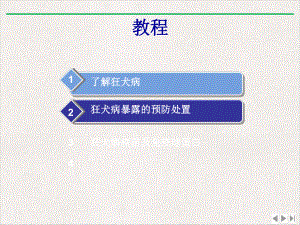 狂犬病预防处置优质版课件.pptx