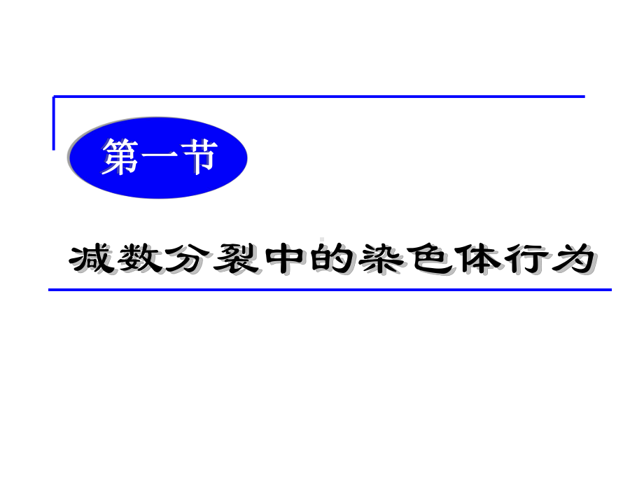 新浙科版高中生物必修2课件：减数分裂中的染色体行为.ppt_第3页