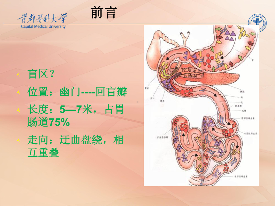 小肠疾病的诊断程序课件.ppt_第2页