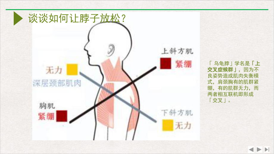 深分析乌龟脖颈椎病运动康复最新版课件.pptx_第2页