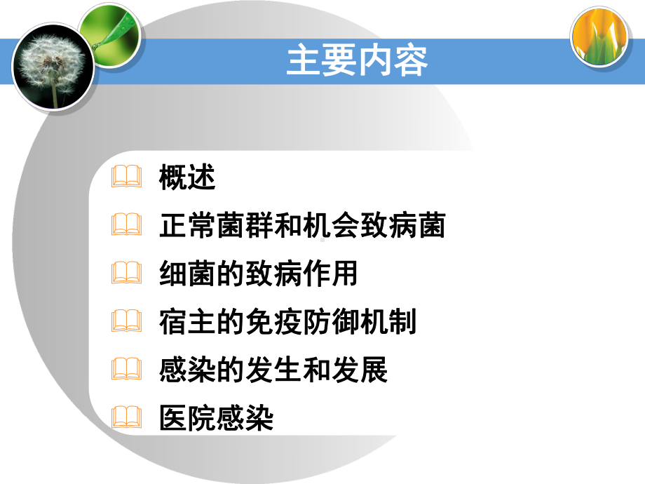 最新7细菌的感染与免疫钟1课件.ppt_第2页