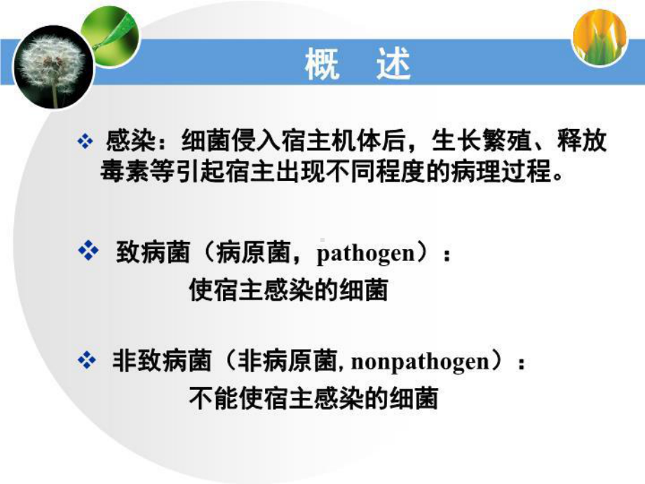 最新7细菌的感染与免疫钟1课件.ppt_第3页