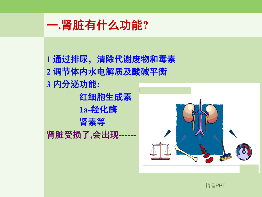 浅谈高磷及高PTH血症诊治进展课件.ppt_第3页