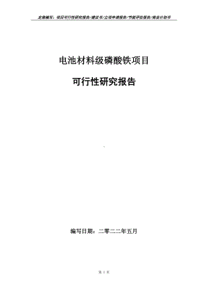 电池材料级磷酸铁项目可行性报告（写作模板）.doc