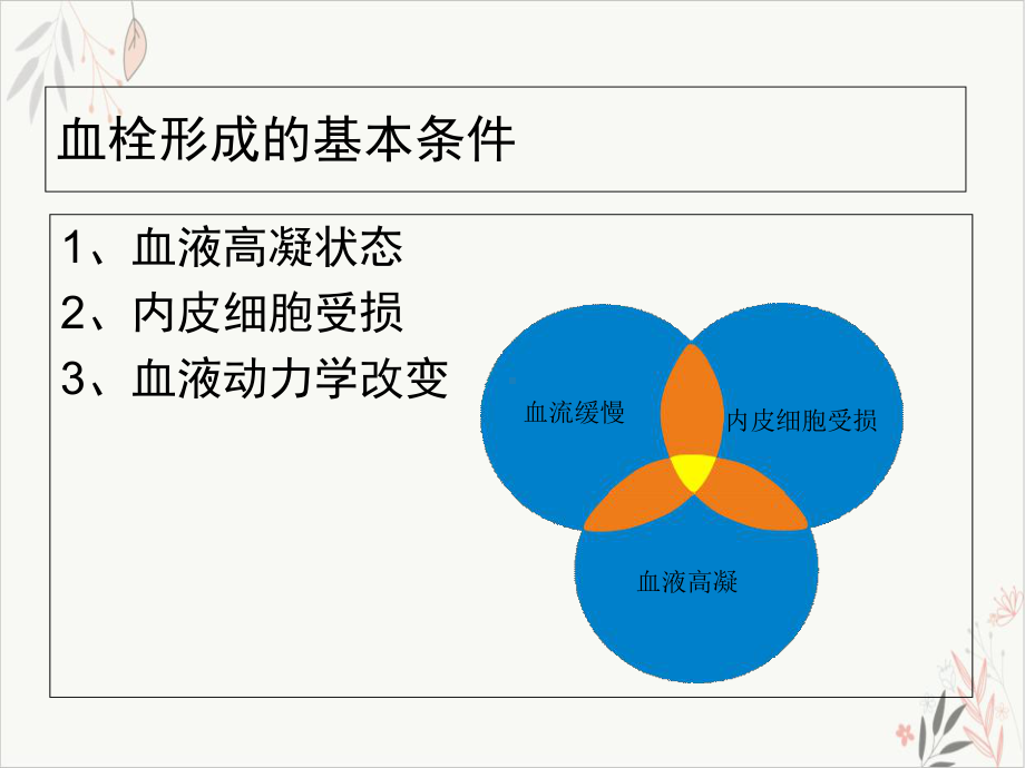 抗凝药物在血管外科的应用精要课件.ppt_第2页