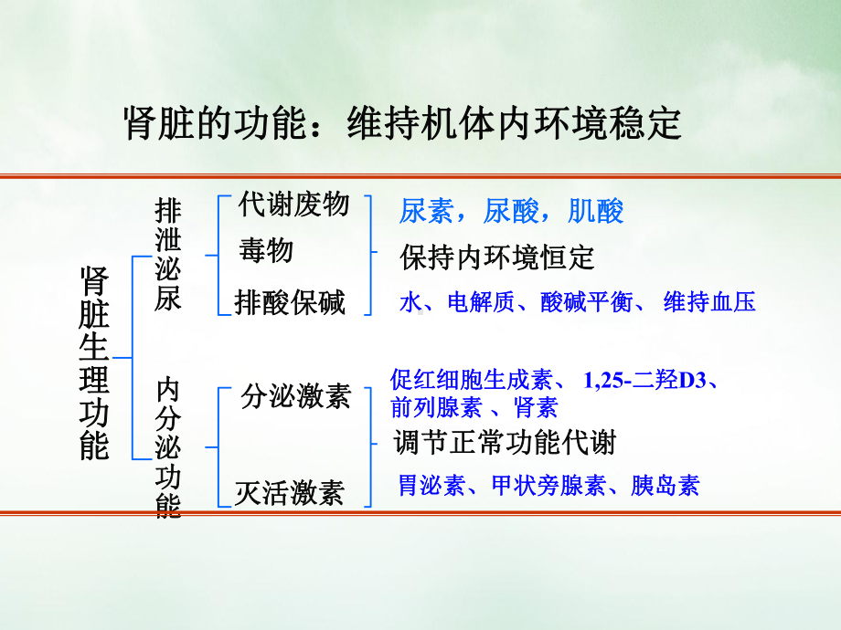 泌尿系统病理生理学课件.pptx_第2页