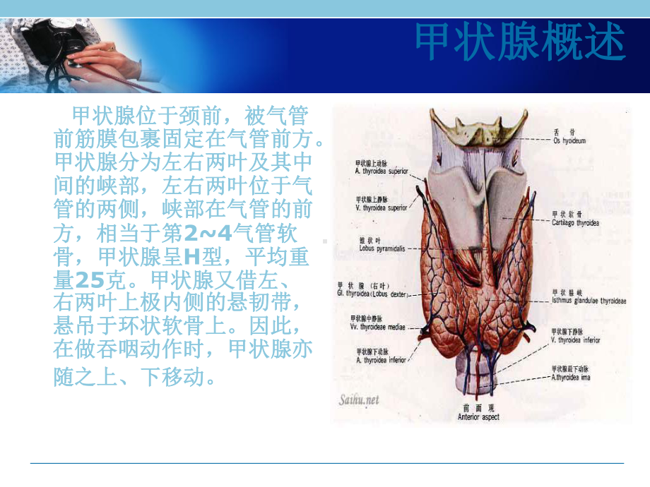 最新甲状腺手术配合技能课件.ppt_第2页