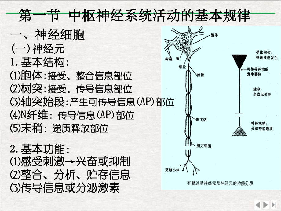 生物竞赛动物生理模块神经系统优选课件.ppt_第3页