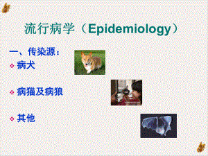 狂犬病病例分析课件.pptx