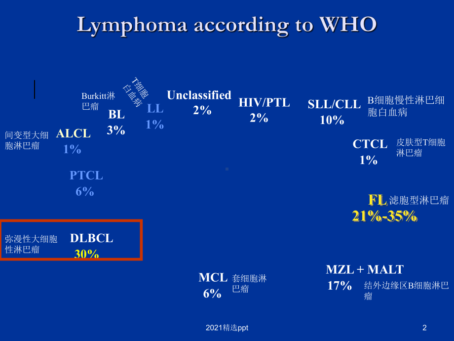 弥漫性大B细胞淋巴瘤的诊断与治疗现状和进展课件整理.ppt_第2页